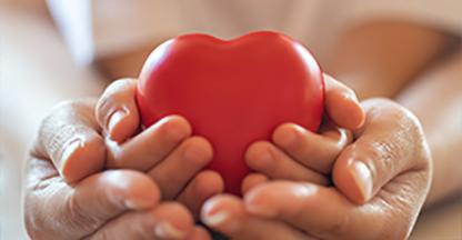 Adult hands supporting a childs hands holding a plastic novelty heart